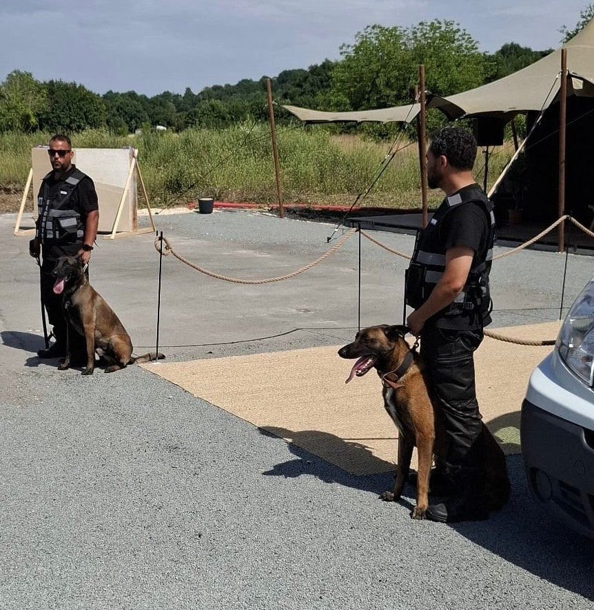 Maître-chien et son chien en ronde sur un site en Gironde